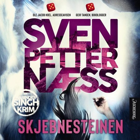 Skjebnesteinen (lydbok) av Sven Petter Næss