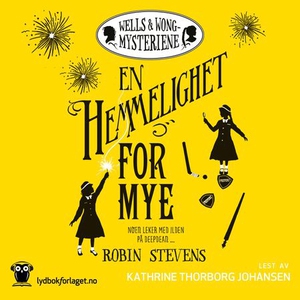 En hemmelighet for mye (lydbok) av Robin Stev