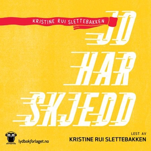 Jo har skjedd (lydbok) av Kristine Rui Slette