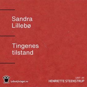 Tingenes tilstand - roman (lydbok) av Sandra Lillebø