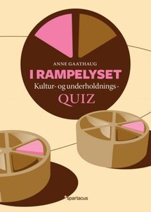 I rampelyset (ebok) av Anne Gaathaug