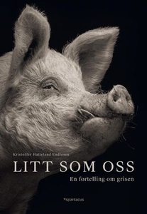 Litt som oss (ebok) av Kristoffer Hatteland E