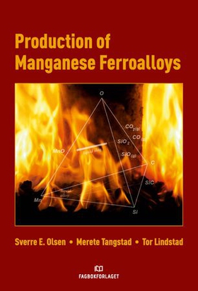 Production of Manganese Ferroalloys (ebok) av Sverre E. Olsen