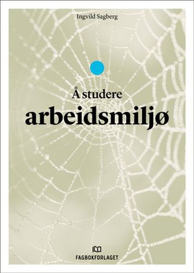 Å studere arbeidsmiljø (ebok) av Ingvild Sagberg