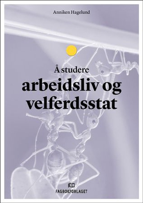 Å studere arbeidsliv og velferdsstat (ebok) av Anniken Hagelund