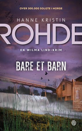 Bare et barn - kriminalroman (ebok) av Hanne Kristin Rohde