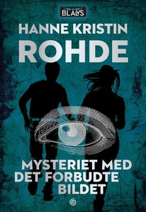 Mysteriet med det forbudte bildet (ebok) av H