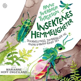 Insektenes hemmeligheter (lydbok) av Anne Sverdrup-Thygeson