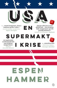 USA (ebok) av Espen Hammer
