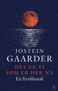 Det er vi som er her nå (ebok) av Jostein Gaa
