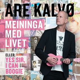 Meininga med livet - eller, Yes, sir, I can boogie (lydbok) av Are Kalvø