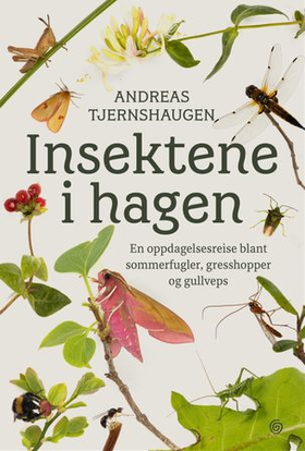 Insektene i hagen - en oppdagelsesreise blant sommerfugler, gresshopper og gullveps (ebok) av Andreas Tjernshaugen