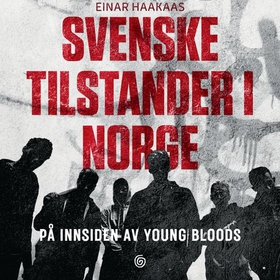 Svenske tilstander i Norge