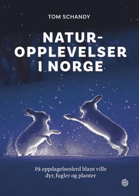 Naturopplevelser i Norge