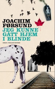 Jeg kunne gått hjem i blinde (ebok) av Joachi