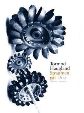 Straumen går - dikt (ebok) av Tormod Haugland