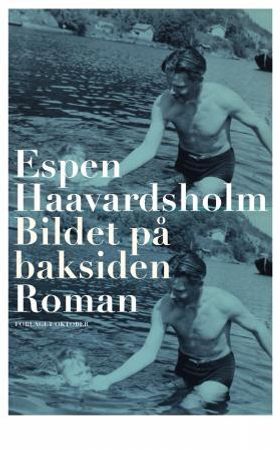 Bildet på baksiden - roman (ebok) av Espen Haavardsholm