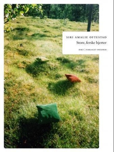 Store, ferske hjerter (ebok) av Siri Amalie O