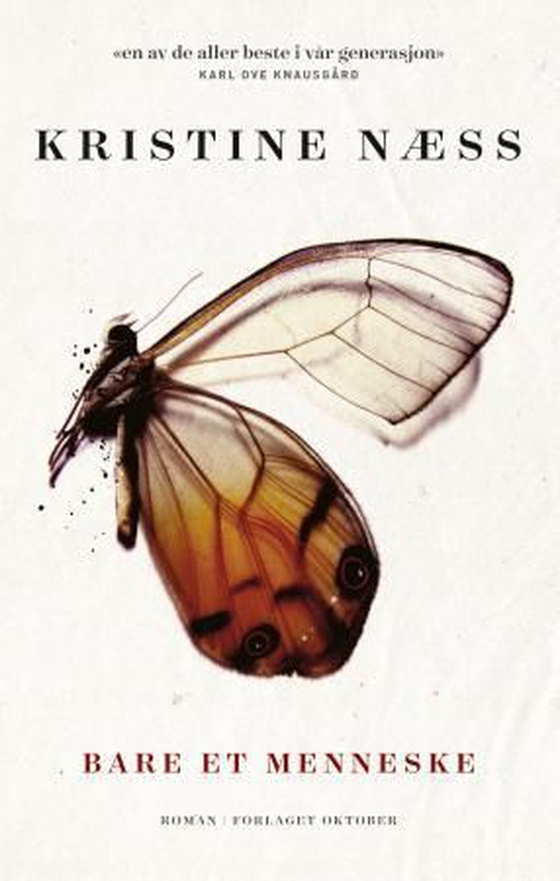 Bare et menneske - roman (ebok) av Kristine Næss