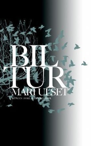 Biltur (ebok) av Mari Ulset