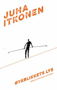 Øyeblikkets lys (ebok) av Juha Itkonen