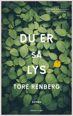 Du er så lys - roman (ebok) av Tore Renberg