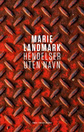 Hendelser uten navn - roman (ebok) av Marie Landmark