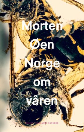 Norge om våren - roman (ebok) av Morten Øen