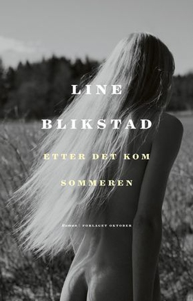 Etter det kom sommeren - roman (ebok) av Line Blikstad