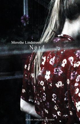 Nord - roman (ebok) av Merethe Lindstrøm