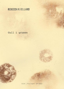 Gull i grusen (ebok) av Rebecca Kjelland