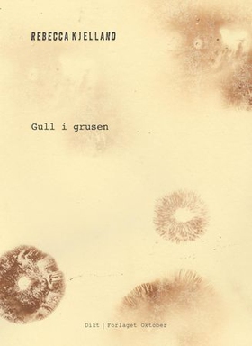 Gull i grusen - dikt (ebok) av Rebecca Kjelland