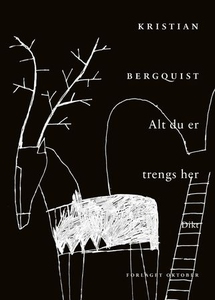 Alt du er trengs her (ebok) av Kristian Bergq