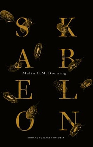 Skabelon (ebok) av Malin C.M. Rønning