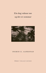 Ein dag vaknar me og det er sommar (ebok) av