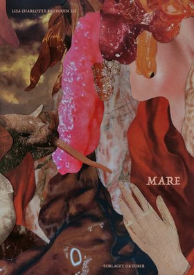 Mare (ebok) av Lisa Charlotte Baudouin Lie