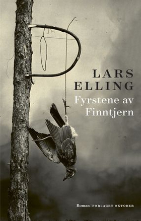 Fyrstene av Finntjern - roman (ebok) av Lars Elling