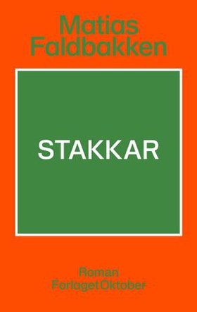 Stakkar - roman (ebok) av Matias Faldbakken