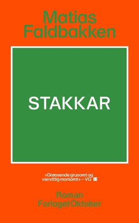 Stakkar - roman (ebok) av Matias Faldbakken