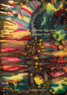 Kosmos' beibi (ebok) av Gunnar Wærness