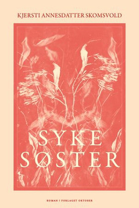 Syke søster - roman (ebok) av Kjersti Annesdatter Skomsvold