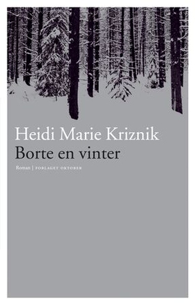 Borte en vinter - roman (ebok) av Heidi Marie Kriznik