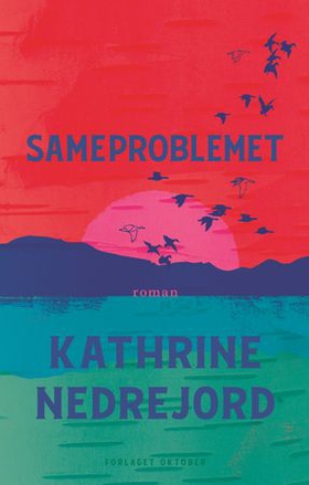 Sameproblemet - roman (ebok) av Kathrine Nedrejord