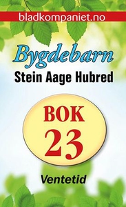 Ventetid (ebok) av Stein Aage Hubred