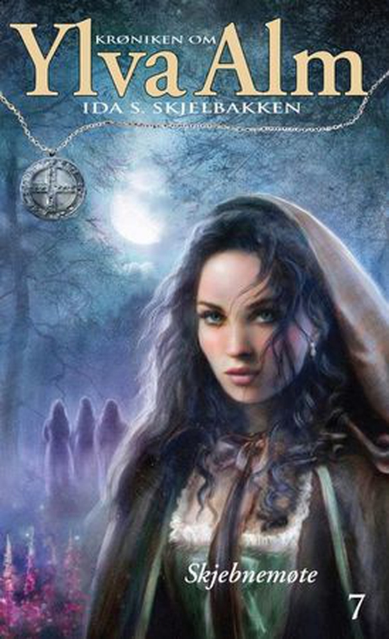 Skjebnemøte (ebok) av Ida S. Skjelbakken