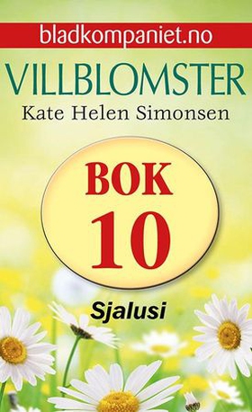 Sjalusi (ebok) av Kate Helen Simonsen