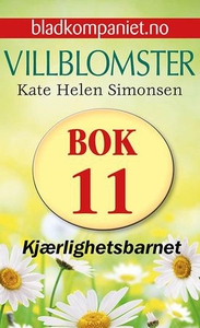 Kjærlighetsbarnet (ebok) av Kate Helen Simons