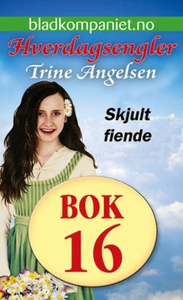 Skjult fiende (ebok) av Trine Angelsen