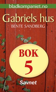 Savnet (ebok) av Bente Sandberg