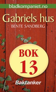 Baktanker (ebok) av Bente Sandberg
